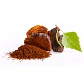 Chaga 