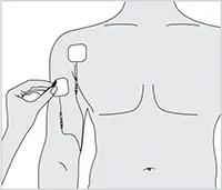 circulator-elettrodi1