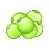 Metabolismo lipidico