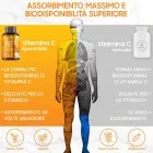 Differenze tra Vitamina C Liposomiale e Vitamina C normale