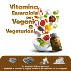 La Vitamina B12 WeightWorld è di origine vegetale